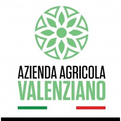 Olio Valenziano 