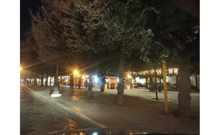 Mercatino di Natale in piazza della Repubblica: QUI la determina del Comune di Trani 
