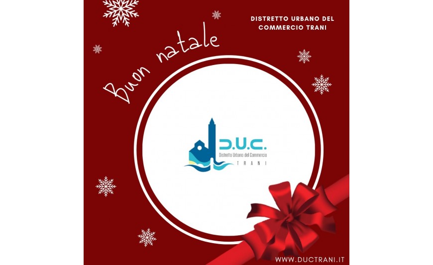 Il Distretto Urbano del Commercio Vi augura Buon Natale e Felice Anno nuovo 2024 